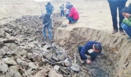 爆料农村泥洼的最新视频,真实农村生活现状触目惊心