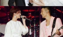 娱乐圈综艺吃瓜爽文,揭秘明星背后的“吃瓜”真相